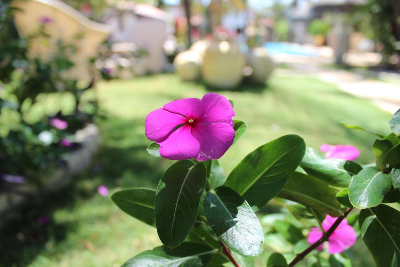 Hotel E Pousada La Dolce Vita Canoa Quebrada Kültér fotó
