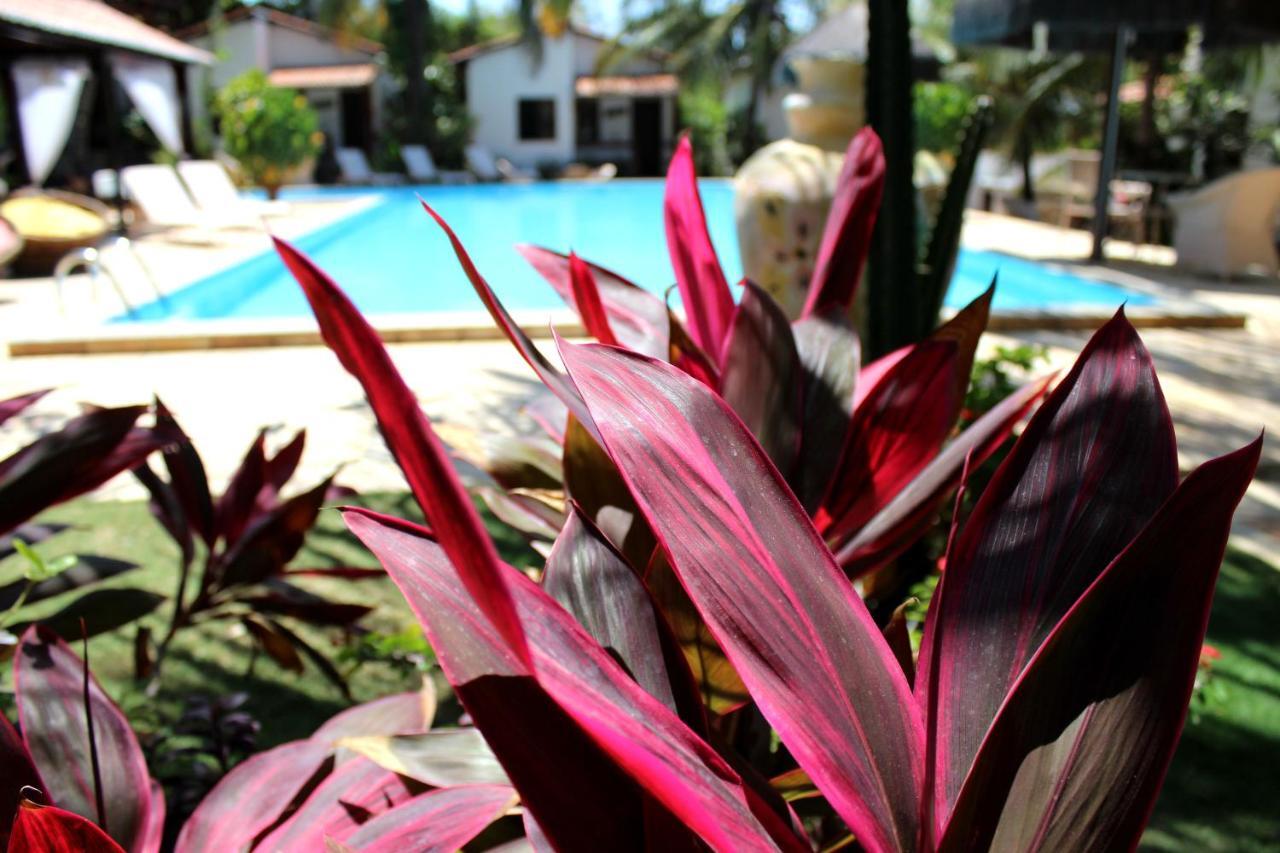 Hotel E Pousada La Dolce Vita Canoa Quebrada Kültér fotó